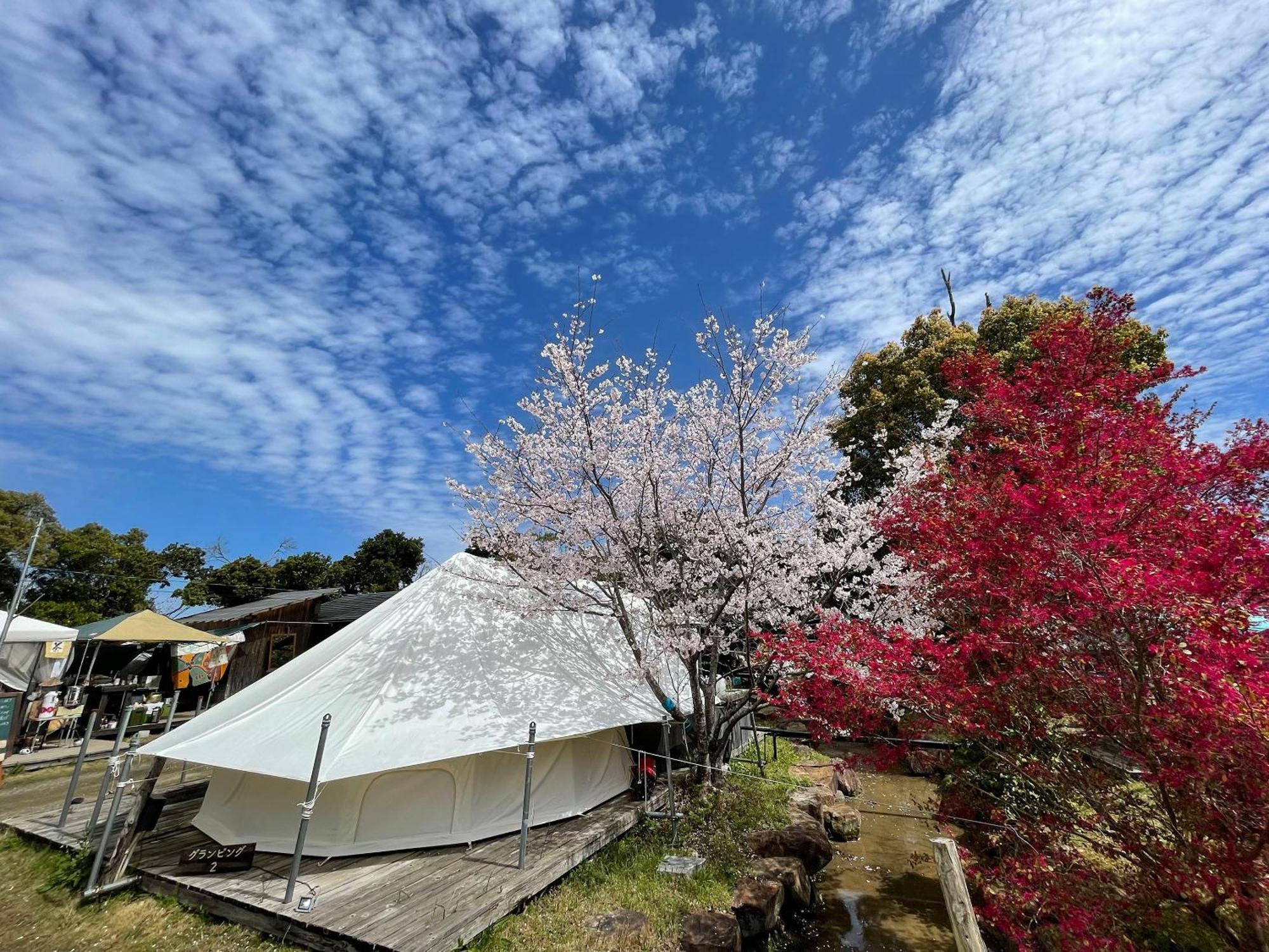 Villa Yamamizuki Shimanto  Esterno foto